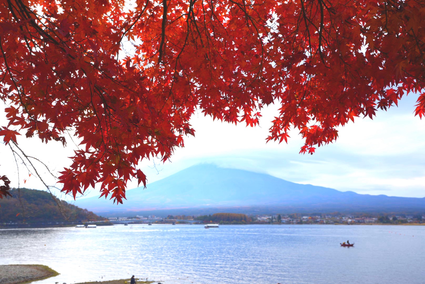 富士河口湖紅葉まつり