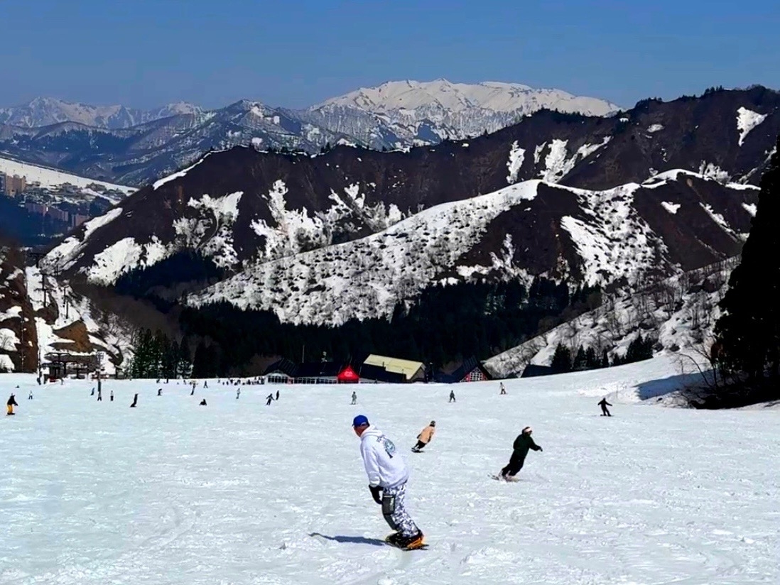 今年もこの時期がきましたね・・・